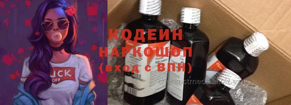 трава Гусиноозёрск