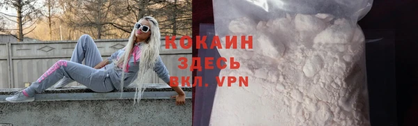 винт Горно-Алтайск