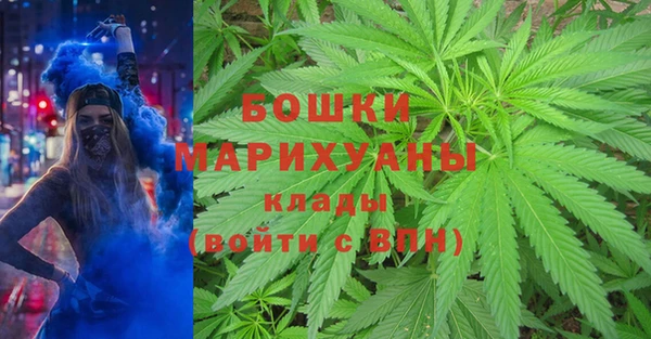 винт Горно-Алтайск