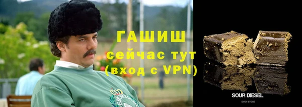 трава Гусиноозёрск