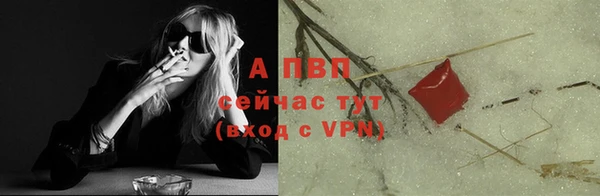 винт Горно-Алтайск