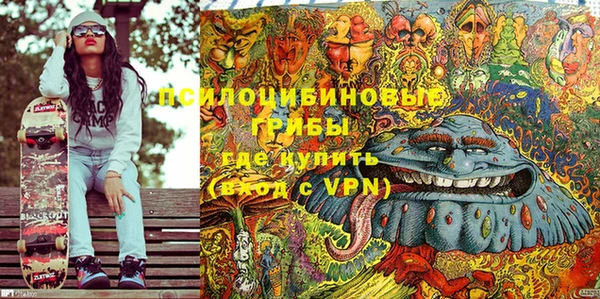 винт Горно-Алтайск