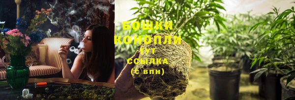 винт Горно-Алтайск