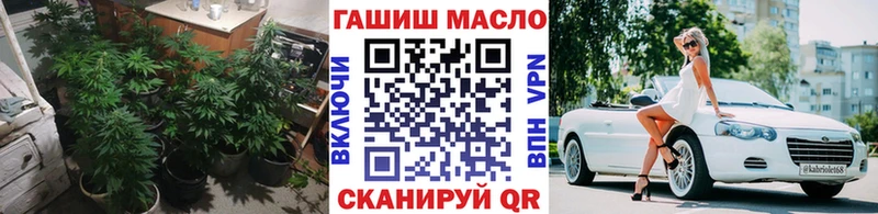 продажа наркотиков  гидра зеркало  Дистиллят ТГК THC oil  Муравленко 